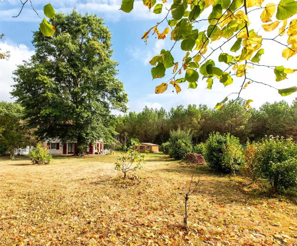 Photo du bien refV-1-1299