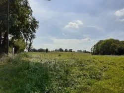 Photo du bien