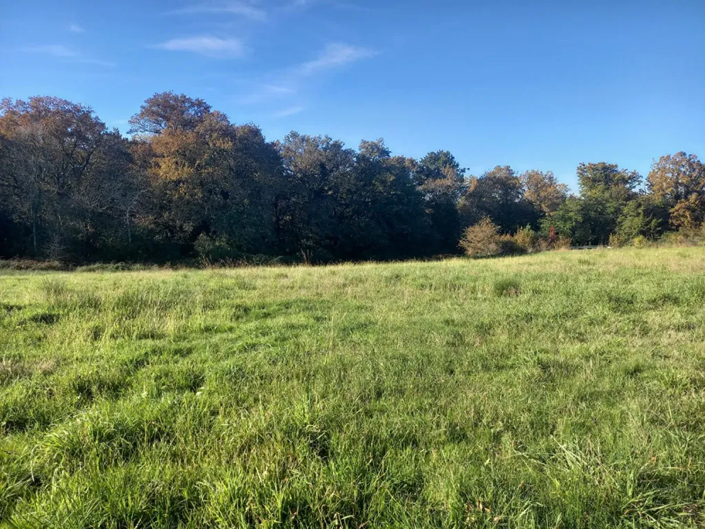 Photo 1 bien refHLD708