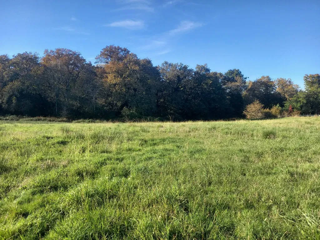 Photo du bien refHLD708