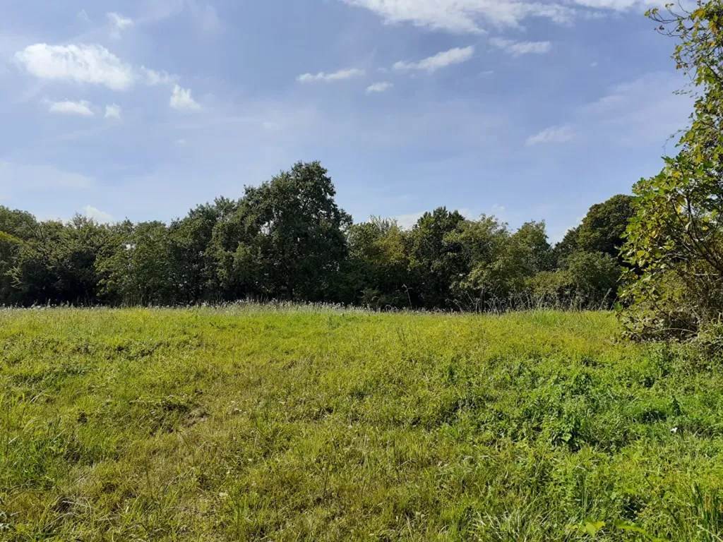 Photo 1 bien refHLD335-02