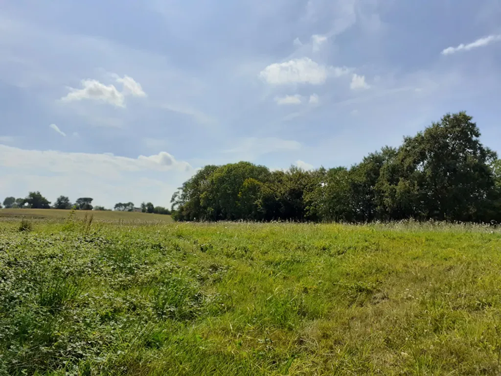 Photo 1 bien refHLD335-01