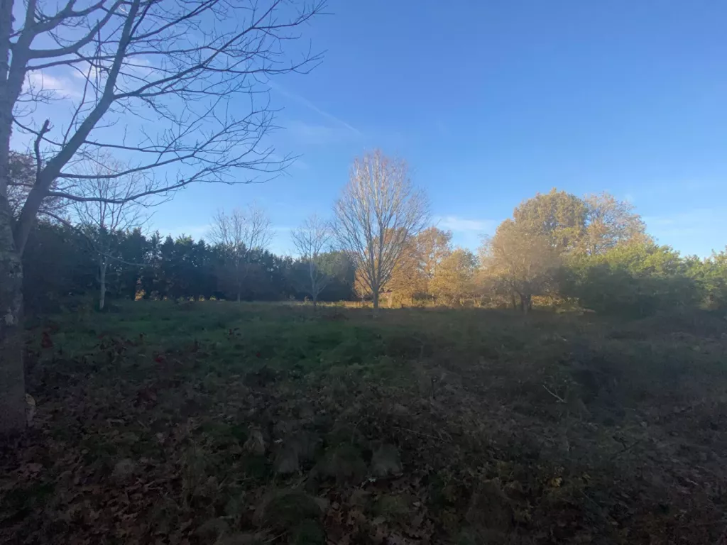 Photo du bien refV-7-1195