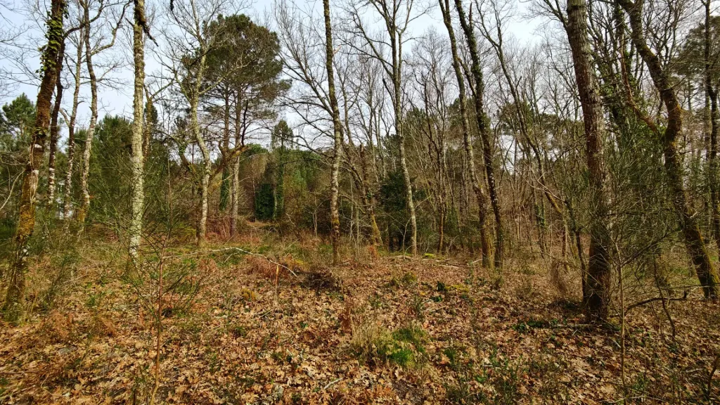Photo du bien ref221