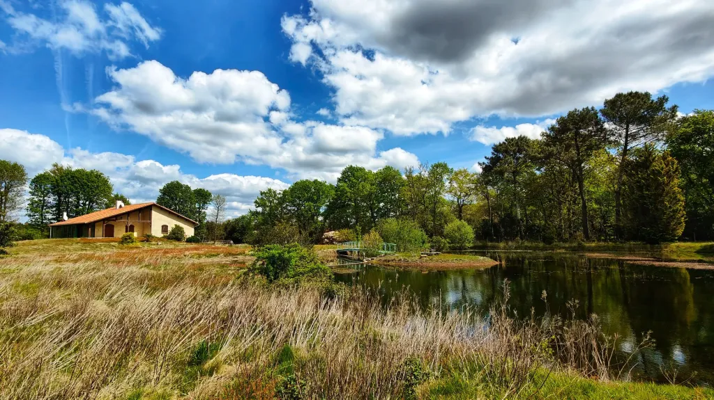 Photo du bien ref166